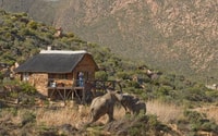 Self drive Aquila Safari Game Reserve Sunset Game Drive - Hizvo