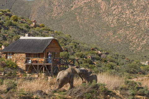 Self drive Aquila Safari Game Reserve Sunset Game Drive Aquila Safari Private Game Reserve Sunset Game Drive