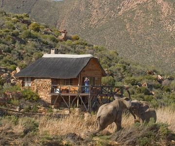 Self drive Aquila Safari Game Reserve Sunset Game Drive