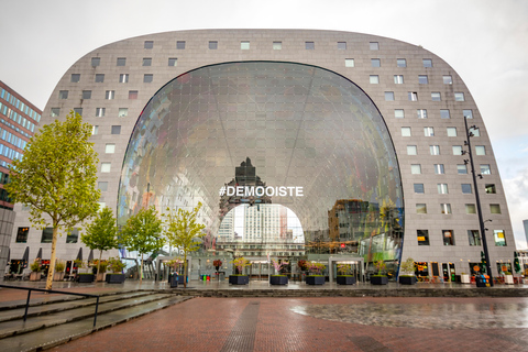 Rotterdam: Tour privado de arquitectura con un experto local