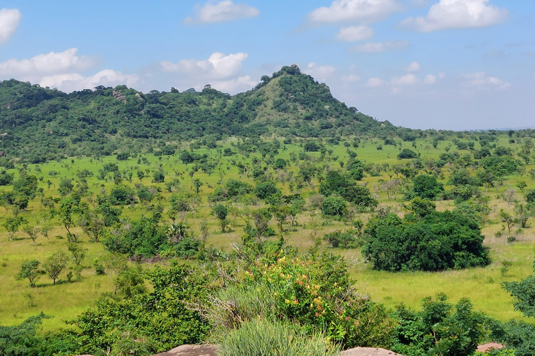 Tour Safari di Accra