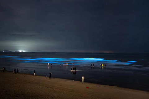 Xichong International Coastal Area Entry Ticket