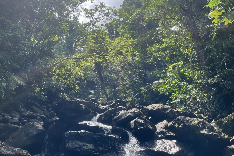 El Yunque Hidden Waterfall Hike with Transportation