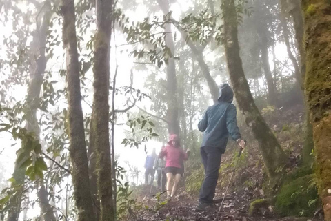 مغامرة لمدة 2-3 أيام في شيانغ ماي: قبائل التلال والفيلة والنهر2 أيام 1 ليلة واحدة: الحياة المحلية ورعا