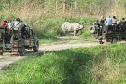 2 N 3 Giorni di tour di Chitwan da Pokhara o Kathmandu