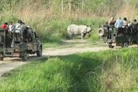 2 N 3 Giorni di tour di Chitwan da Pokhara o Kathmandu