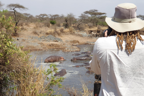 Tanzania: Safari di lusso di 6 giorni a Serengeti e Ngorongoro