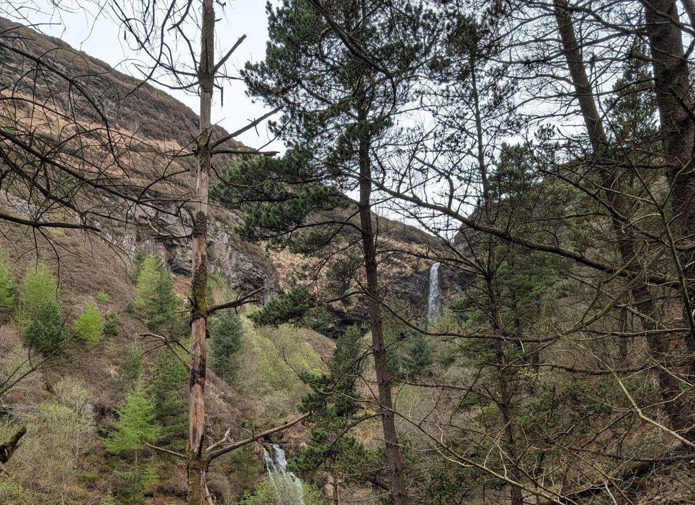 Fra Cardiff: Guidet tur til vandfald i South Wales