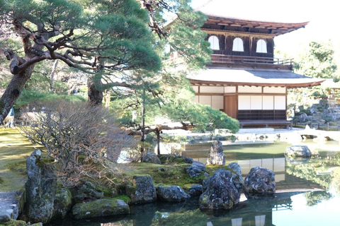 E-Bike Tour in Kyoto with Asuka, Japanese graduate student