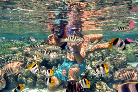 Taha’a depuis Raiatea : Vanille, perles, rhum, Snorkeling Jardins de corail