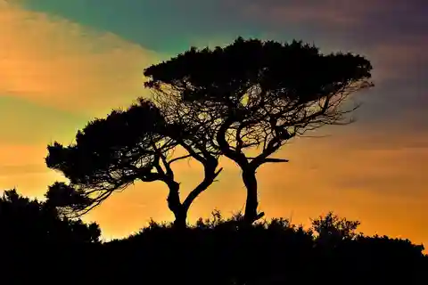 Safari del Mikumi NP e villaggio Maasai e tramonto: 2 giorni 1 notte