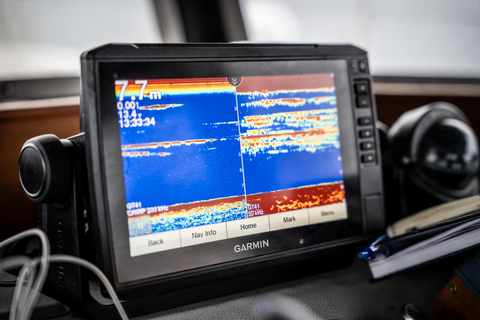 Tromsø: Nocturnal cod fishing with meal.