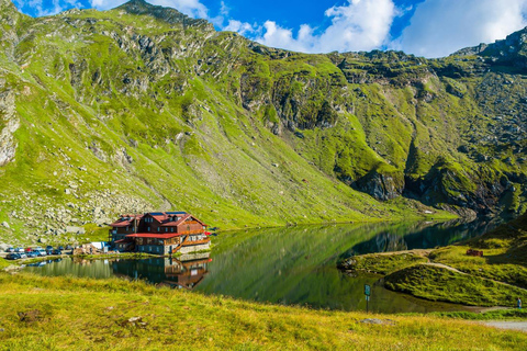 Bucarest: Excursión de un día por la carretera Top Gear y los osos pardos