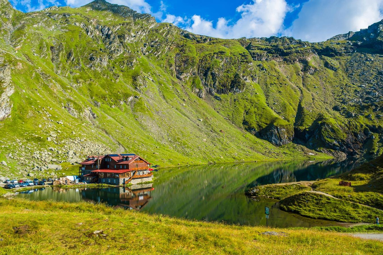 Bucarest: Excursión de un día por la carretera Top Gear y los osos pardos