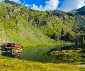 Bucareste: Safari de Ursos na Estrada Transfagarasan