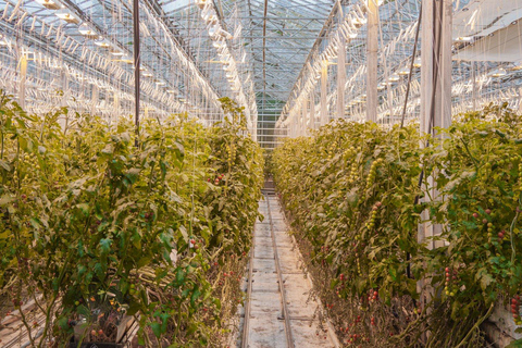 Reykjavik: 3 dias no Círculo Dourado, Costa Sul e Lagoa Azul