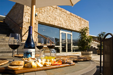 Depuis Santiago : Excursion d'une journée sur la route des vins de la vallée de Colchagua