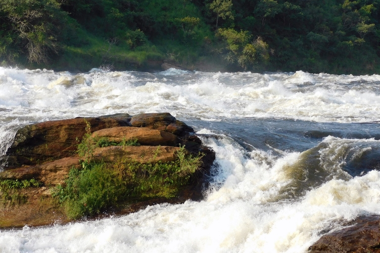 2 dni Park Narodowy Murchison Falls