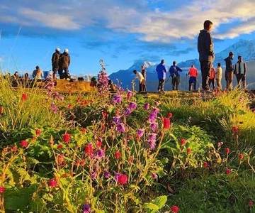 Pokhara: 3- days Poon Hill Trek