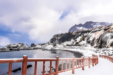 Jeju: Winter East Snow, Camellia, Tangerine Picking Tour