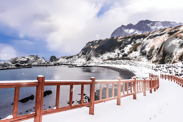 Jeju: Winter East Snow, Camellia, Tangerine Picking Tour