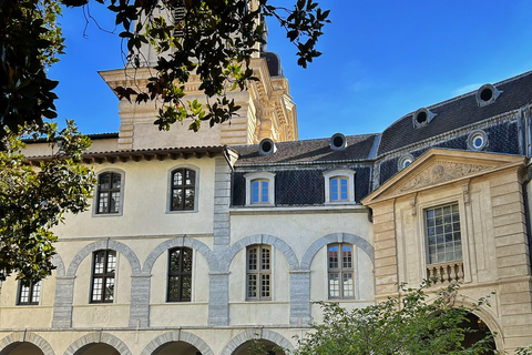 Intro to Lyon - Dynamic Walking Tours (Local Guide)