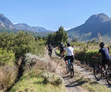 Franschhoek: E-Bike & Wine Tour (Shared Tour)