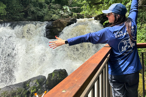 Hiking in Iguaçu National Park: A nature hike Trails in Iguaçu National Park: A hike through nature