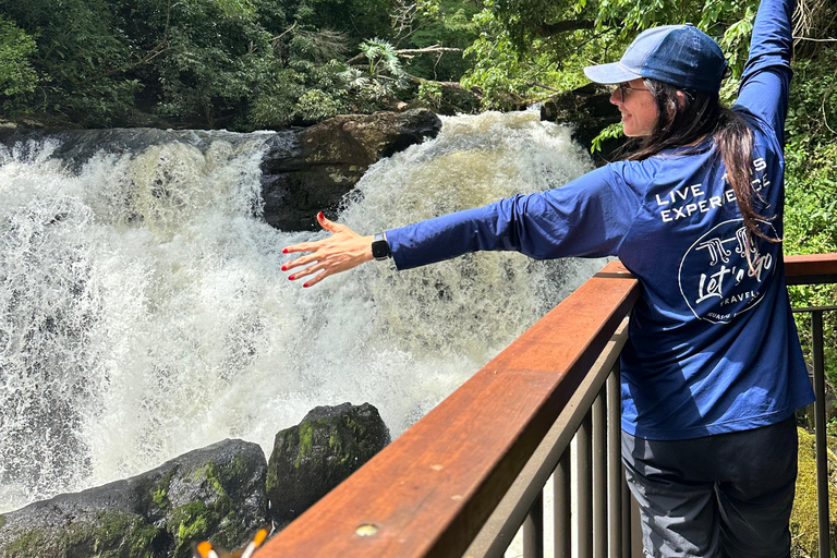 Hiking in Iguaçu National Park: A nature hike Trails in Iguaçu National Park: A hike through nature
