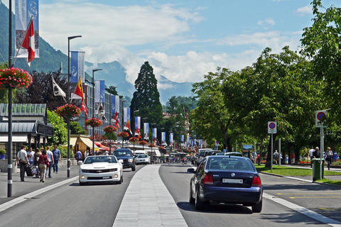 Z Zurychu: Prywatna 1-dniowa wycieczka do Interlaken