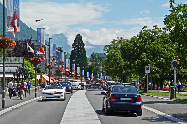 Vanuit Zürich: Privé dagtrip naar Interlaken