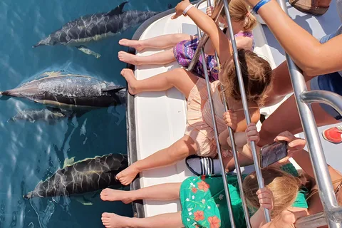 From Lagos: Dolphin Watching Catamaran Cruise
