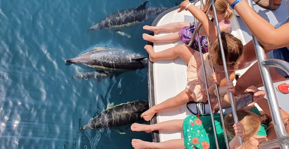 Desde Lagos: opción familiar - Crucero de avistamiento de delfines en catamarán