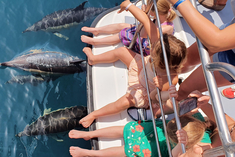 من لاغوس: رحلة بحرية على متن طوف لمشاهدة الدلافين