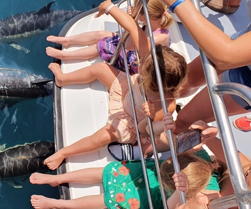 From Lagos: Dolphin Watching Catamaran Cruise
