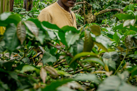 Arusha nature hike to Napuru waterfalls.