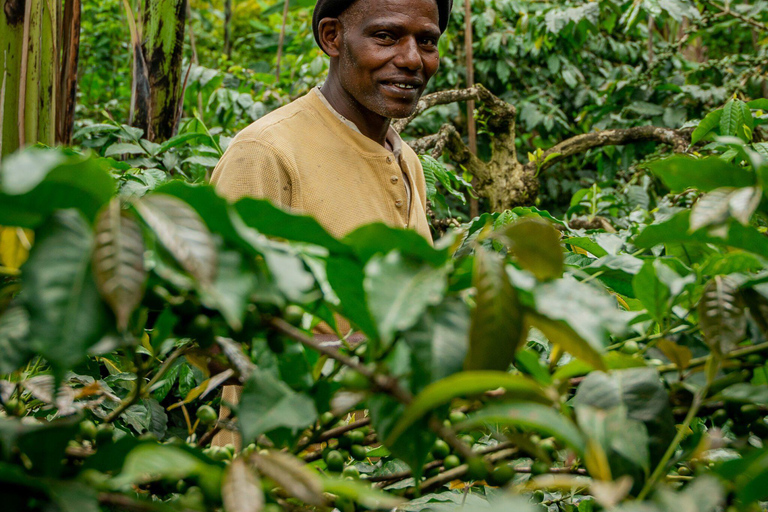 Arusha nature hike to Napuru waterfalls.