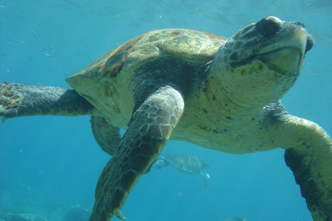 Desde Chania: buceo para principiantes