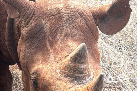 Moshi: Mkomazi National Park Day Trip with Game Drive