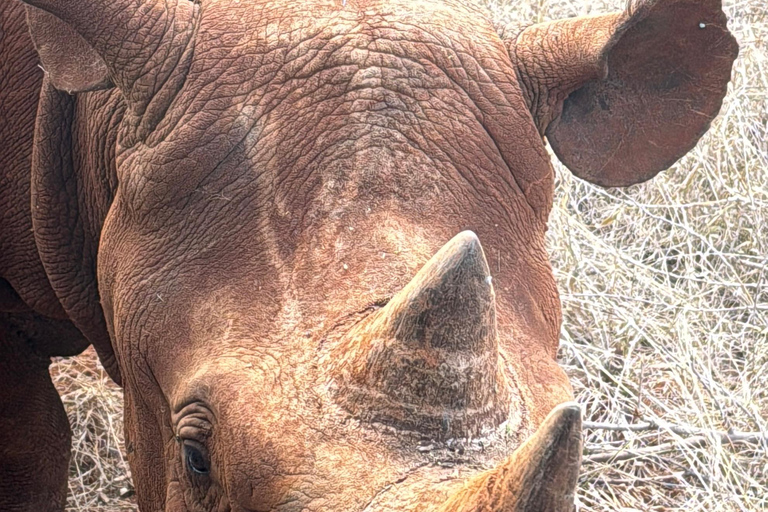 Moshi: Mkomazi National Park Day Trip with Game Drive