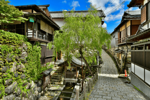 Shirakawago&amp;HidaTakayama&amp;GujoHachiman Dagstur från Nagoya