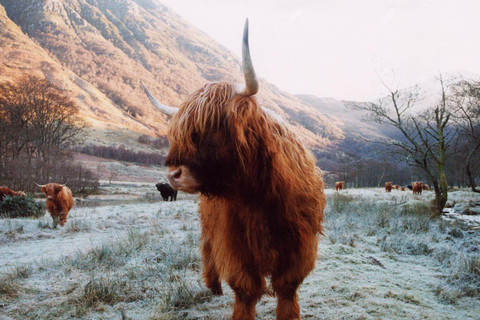 Édimbourg : 3 jours 18-40 Tour des Highlands écossais et de Skye