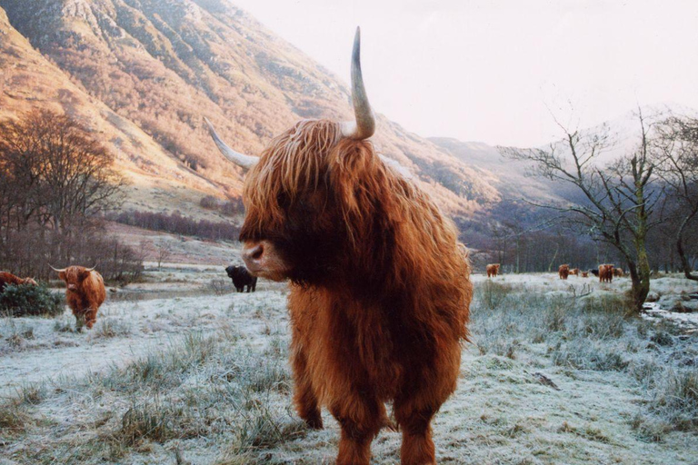 Edimburgo: Excursão de 3 dias de 18 a 40 anos pelas Terras Altas da Escócia e Skye