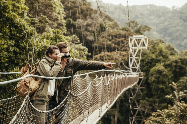 Kigali: 2-Day Nyungwe Canopy Walk, Zipline & Waterfall Tour