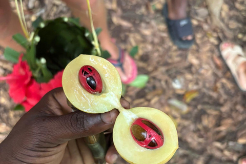 Zanzibar: Spice Farm, Stone Town or Jozani Forest with lunch Spice Farm Experience with lunch – (No Transport)