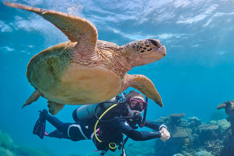 Miami Beach: Guided 2-Tank Reef and Wreck Dive Trip