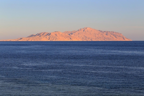 Sharm El Sheikh : Excursion privée en bateau rapide sur l'île de Tiran