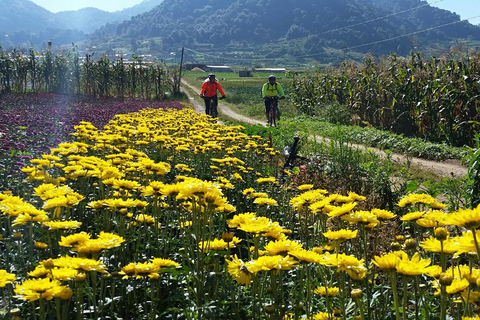 Chiapas: Scopri la magia con un tour in bicicletta