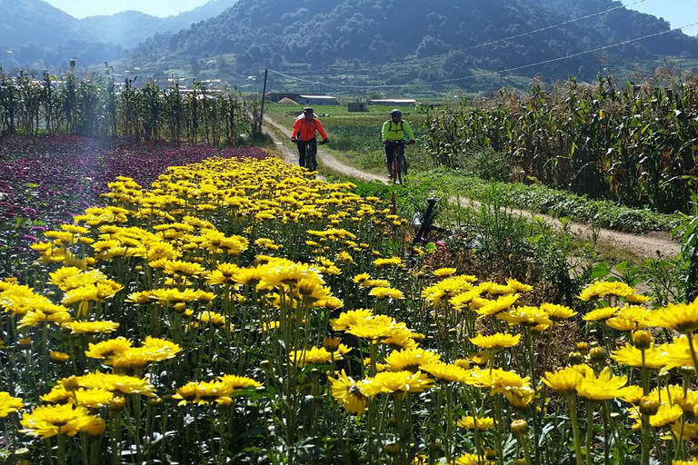 Chiapas: Discover the magic on Bike tour