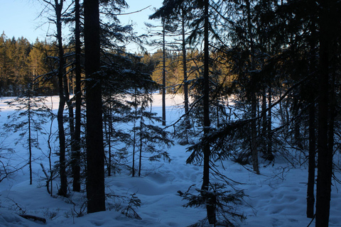 Vettakollen: Breathtaking Panoramic Views of the Oslofjord Vettakollen: Breathtaking views of the Oslofjord